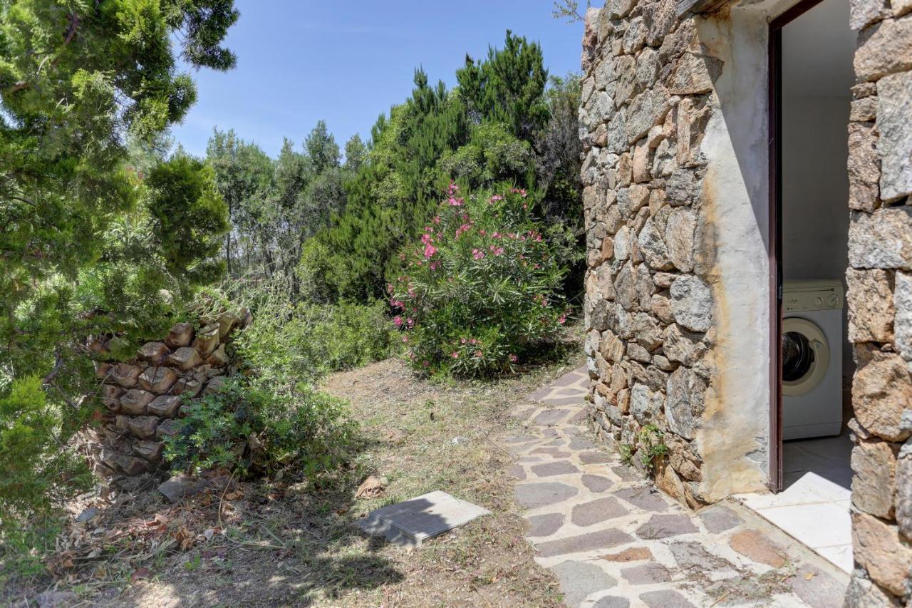 Maria - Capo D'orso - And